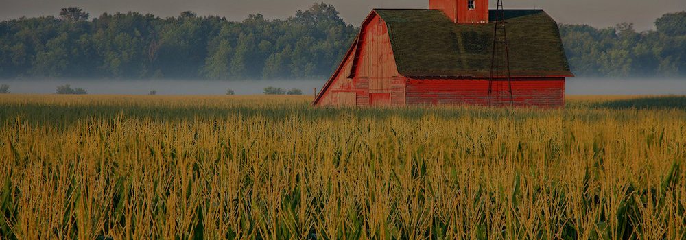 farm and crop insurance New Canton IL