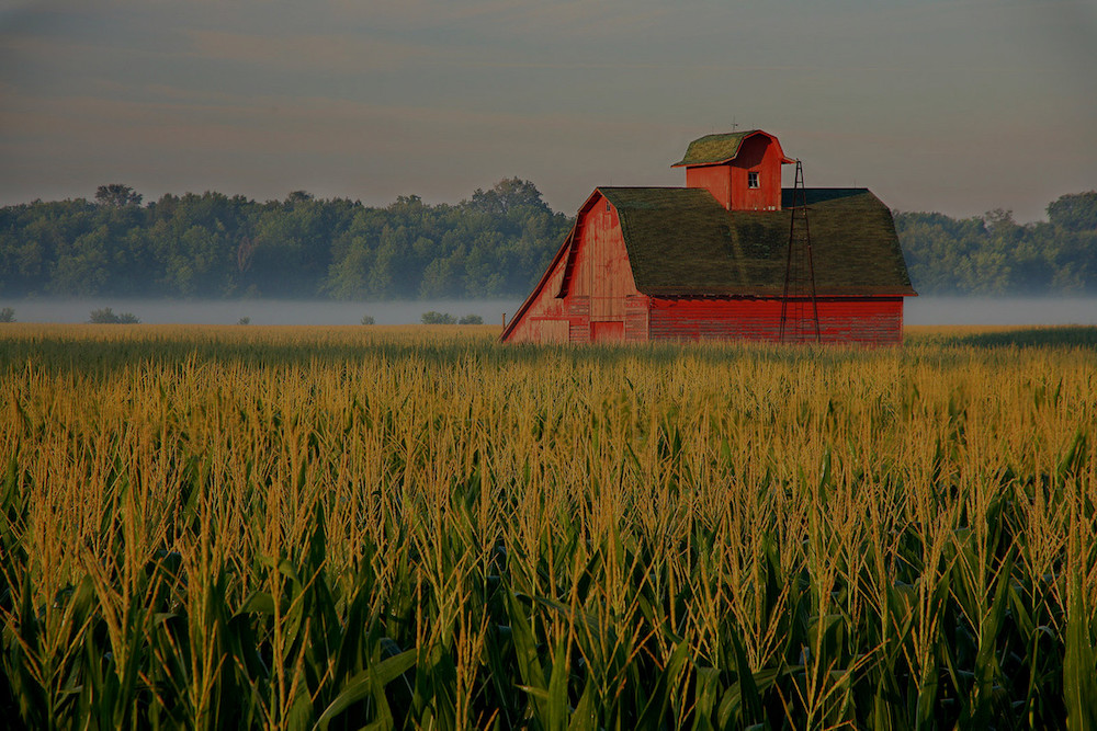 farm and crop insurance New Canton IL